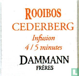 Rooibos Cederberg - Image 3