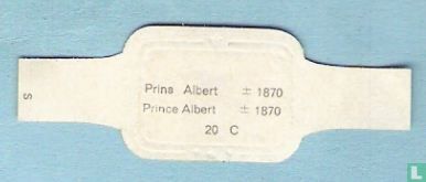 Prins Albert    ± 1870 - Afbeelding 2