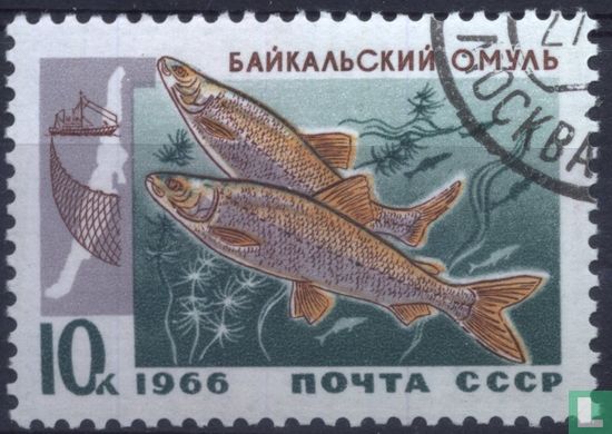 Fishing Lake Baikal 
