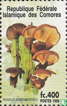 Mushrooms  