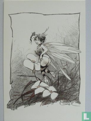 La Fée N° 11