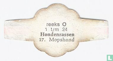 Mopshond - Afbeelding 2