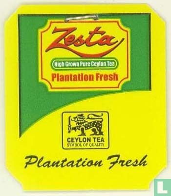 100% Pure Ceylon Tea - Image 3