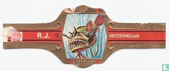 Diepzeehengelaar - Image 1