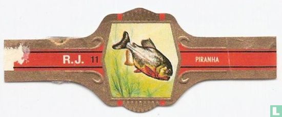 Piranha - Afbeelding 1
