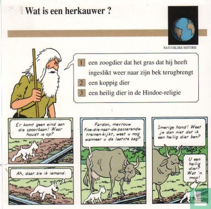 Natuurlijke Historie: Wat is een herkauwer? - Image 1