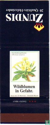 Erd-Schlüsselblume (Primula vulgaris)
