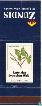 Weide (Salix caprea)