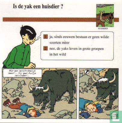 Huisdieren: Is de Yak een huisdier? - Afbeelding 1