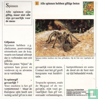 Wilde dieren: Zijn alle spinnen giftig? - Image 2