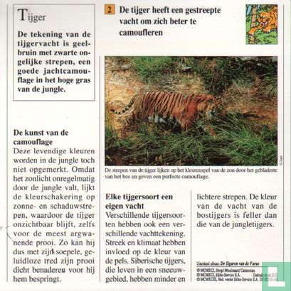 Wilde dieren: Waarom heeft de tijger een gestreepte vacht? - Image 2