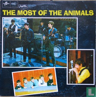 The Most of The Animals - Image 1