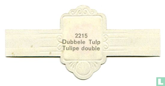 Dubbele Tulp - Afbeelding 2
