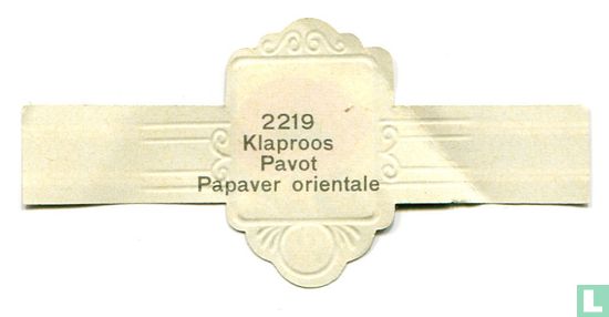 Klaproos - Papaver orientale - Afbeelding 2