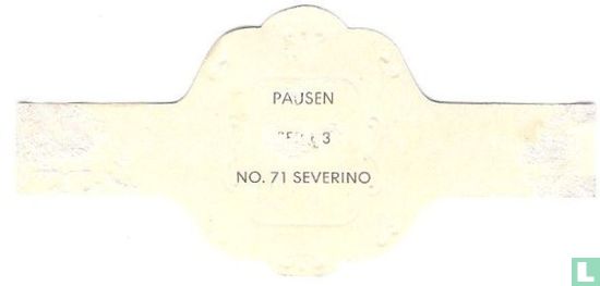 Serverino - Afbeelding 2