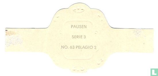 Pelagio 2 - Bild 2
