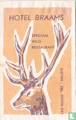 Hotel Braams - Image 1