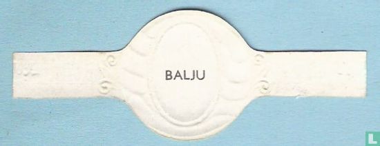 Balju - Afbeelding 2