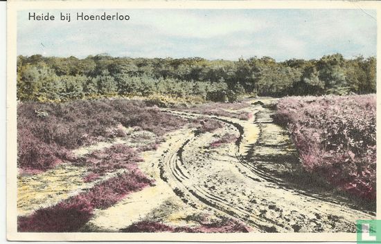 Heide bij Hoenderloo