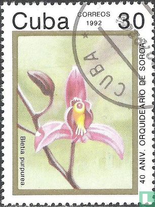 40 ans culture des orchidées Soroa  
