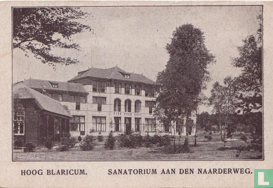 Hoog Blaricum. Sanatorium - Afbeelding 1