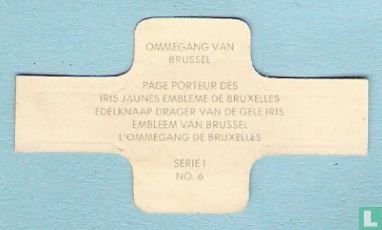 Edelknaap drager van de gele iris embleem van Brussel - Image 2