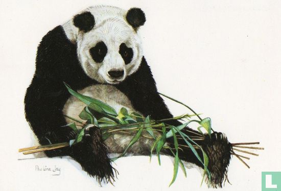 Panda with bamboo shoots - Afbeelding 1