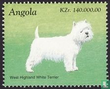 Honden - West Highland white terriër