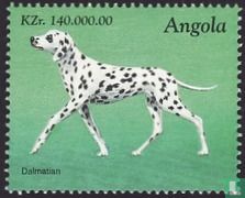 Honden - Dalmatiër
