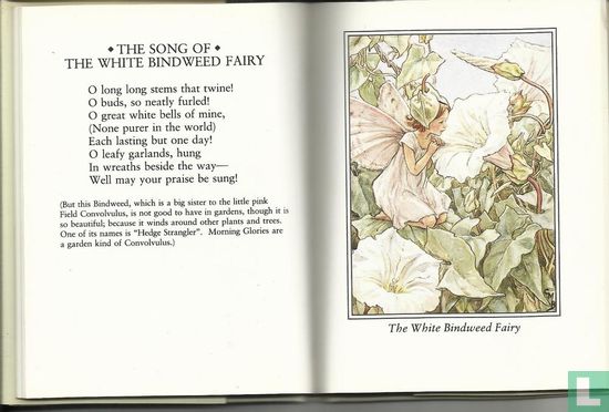 Flower fairies of the wayside - Image 3