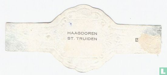 Haagdoren - St. Truiden - Afbeelding 2