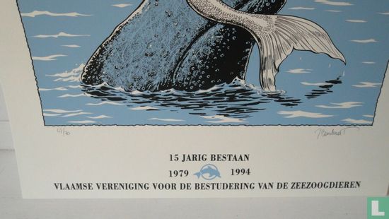 Vlaamse vereniging voor de bestudering van de zeezoogdieren - Afbeelding 2