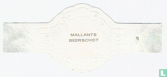 Mallants - Beerschot - Afbeelding 2