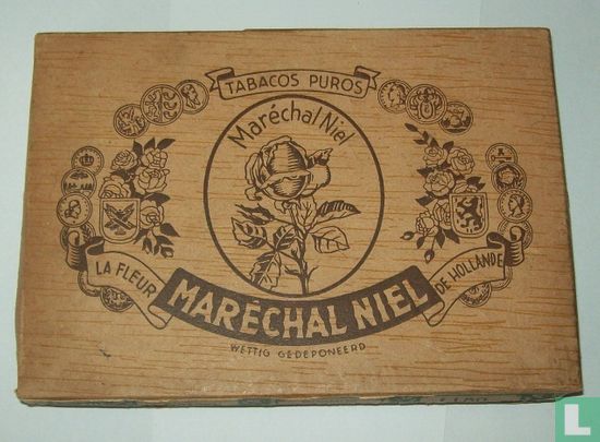 Maréchal Niel chic - Afbeelding 1