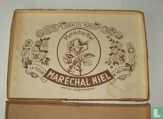 Maréchal Niel chic - Afbeelding 2
