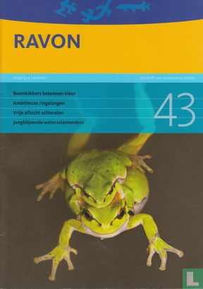 Ravon 43 - Image 1