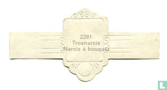 Trosnarcis - Afbeelding 2