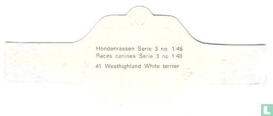 Westhighland White Terrier - Image 2