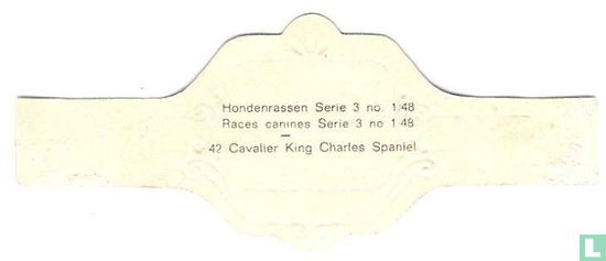 Cavalier King Charles Spaniel - Afbeelding 2