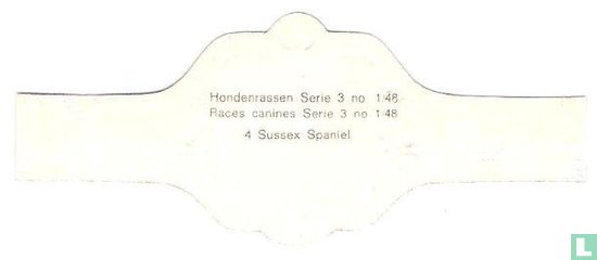 Sussex Spaniel - Image 2