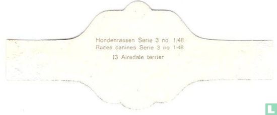 Airedale terier - Image 2