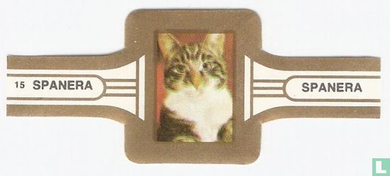 Katten 15 - Image 1