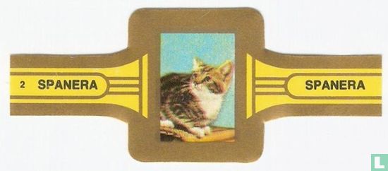 Katten 2 - Afbeelding 1