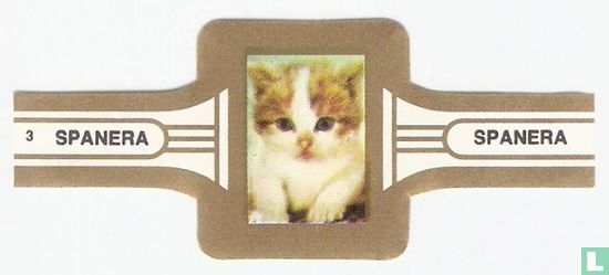 Katten 3 - Image 1