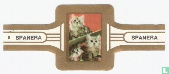 Katten 6 - Image 1