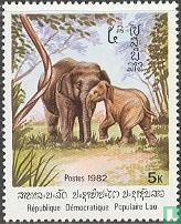 Elefanten  