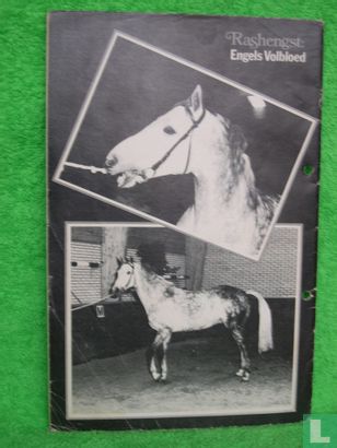 Ponyclub 117 - Afbeelding 2