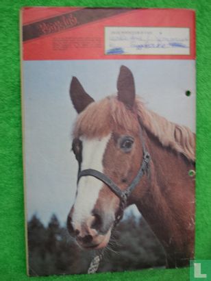 Ponyclub 122 - Image 2