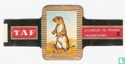 Écureuil de prairie - Image 1