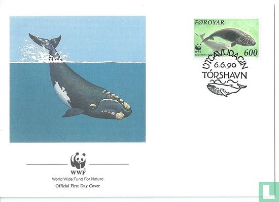WWF - Walvissen van de Noordelijke Atlantische Oceaan